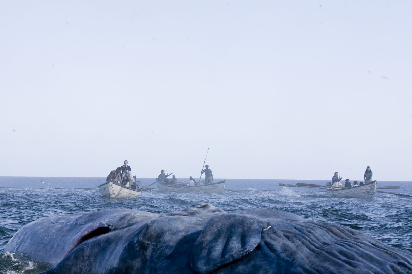 Ocean scene featuring whale 