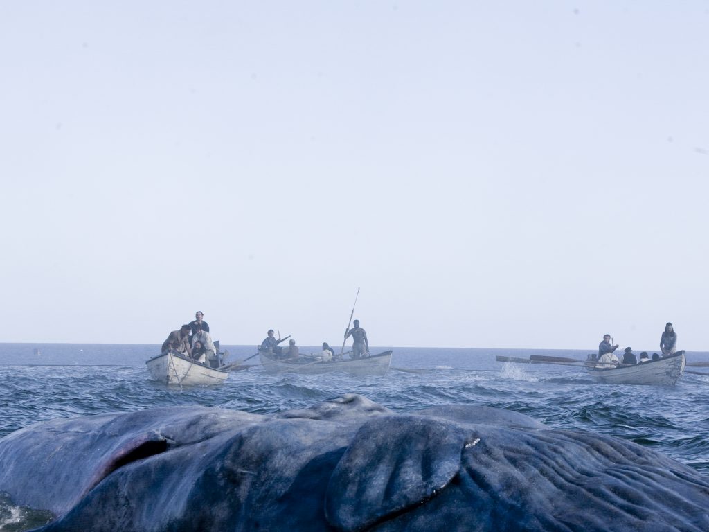 Ocean scene featuring whale 